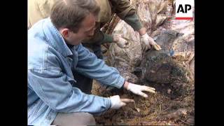 BOSNIA: 2 NEW MASS GRAVES DISCOVERED IN NORTH WEST OF COUNTRY