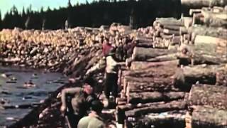 1950s Sawmill Workers Educational Documentary  Timber In The Northeast  CharlieDeanArchives