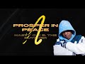 Nasty C - Prosper in Peace ft. Benny the Butcher Lyric Video
