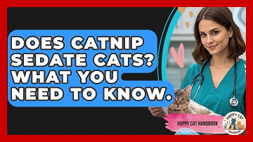 Does Catnip Sedate Cats? What You Need To Know. - Happy Cat Handbook