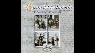 Miniatura del video "Mariachi Juvenil Tecalitlan - El Mil Amores"