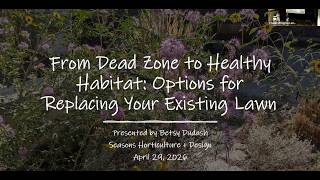 From Dead Zone to Healthy Habitat: Options for Replacing Your Existing Lawn