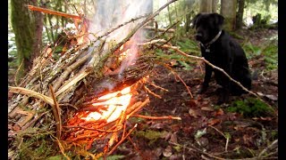 Punky Twig Bundle: Campfire in Your Hands