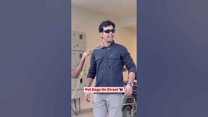Pet Dogs vs Street Dogs #shorts #ytshorts #comedy #rishabhhshukla