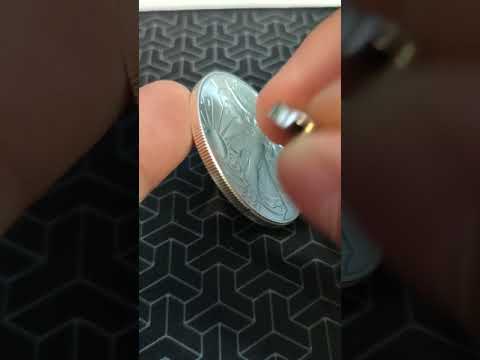 Did eBay SCAM Me with a FAKE 2021 American Silver Eagle?