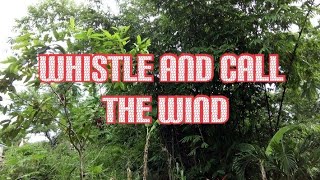 How to call the wind | Whistle sound for Wind...