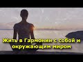 Жить в Гармонии с собой и окружающим миром. Удалите из своей жизни эти 10 шаблонов.