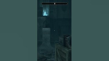 Oblivion Remastered NPCs Are Blind