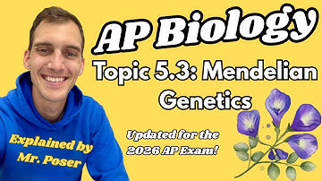 5.3 Mendeliaanse genetica - AP Biologie (bijgewerkt 2025-2026)