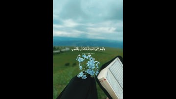 ويضيق صدري ولا ينطلق لساني فأرسل الى هارون 💙 سورة الشعراء بصوت جميل وهادئ 🌸 تلاوه هادئة تريح القلب 🩵