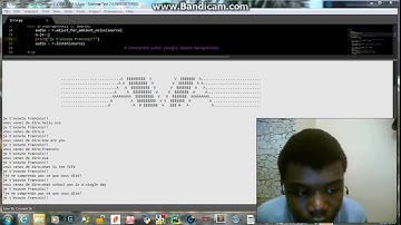 AVA Virtual python assistant