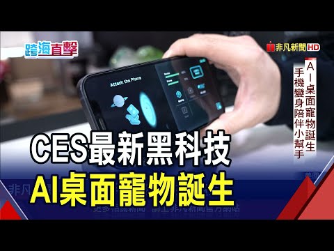 CES最新黑科技! AI桌面寵物誕生 還有會翻譯的智慧眼鏡 超強大黃蜂按摩椅|非凡財經新聞|20250110