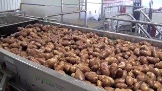 Volm Companies: Potato Washing Line (Wyma Equipment)