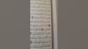 سورة الزمر الایات 24 _ 28                        #سورة_الزمر #القرآن_الكريم بصوت #محسن_کردستانی