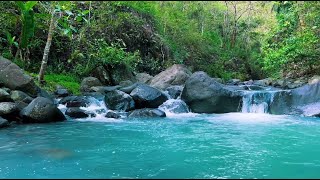 Peaceful River Stream &amp; Forest Sounds for Sleep, Relaxation, Meditation | 8H White Noise