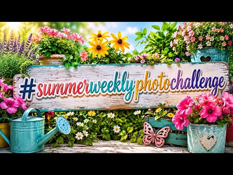 #summerweeklyphotochallenge 🌷 Hosted by Blackberryrock Homestead 🌱🍅
