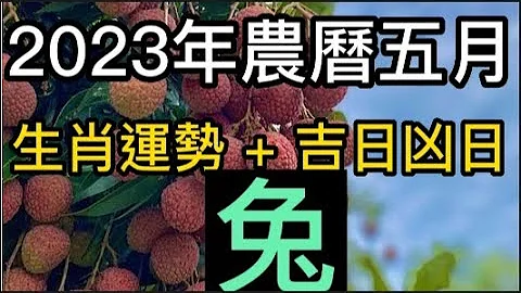 【古柏論命每月運勢 + 吉日凶日】2023年農曆五月(陽曆6/18 ~ 7/17)生肖運勢分享 -  兔 - 天天要聞