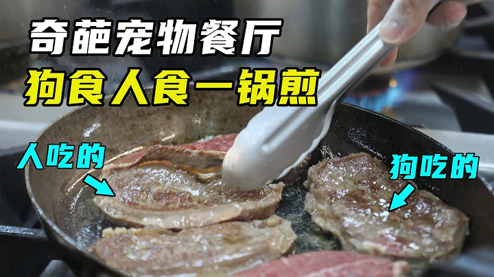 奇葩餐厅，狗食人食一锅煎，狗用过的勺子给人用！ - 天天要闻