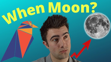 What Is The Future Of Ravencoin? (Ravencoin Price Prediction)