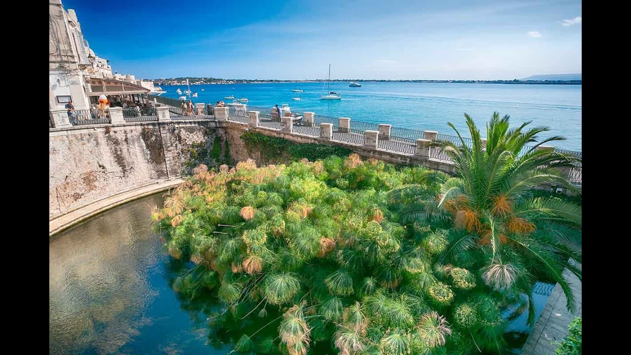 Fontana Aretusa Ortigia island.