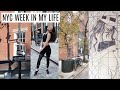 NYC VLOG || Motorcycle Joyride, Birthday Brunch, Exploring Downtown & MORE || BeautyChickee