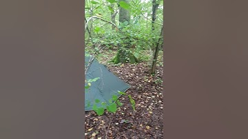 DD MTP Pyramid Tent.