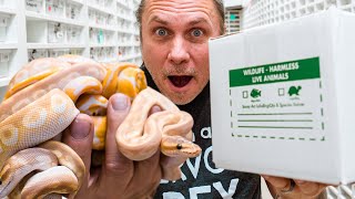 UNBOXING INCREDIBLE DANGER NOODLES!! | BRIAN BARCZYK