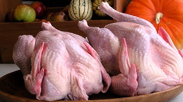 V/Vm - LEON and HITS ask: who gobbled gobleys wobblers wobbler ??