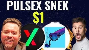 PULSEX WILL MOON SNEK TOP 5 CARDANO PROJECTS