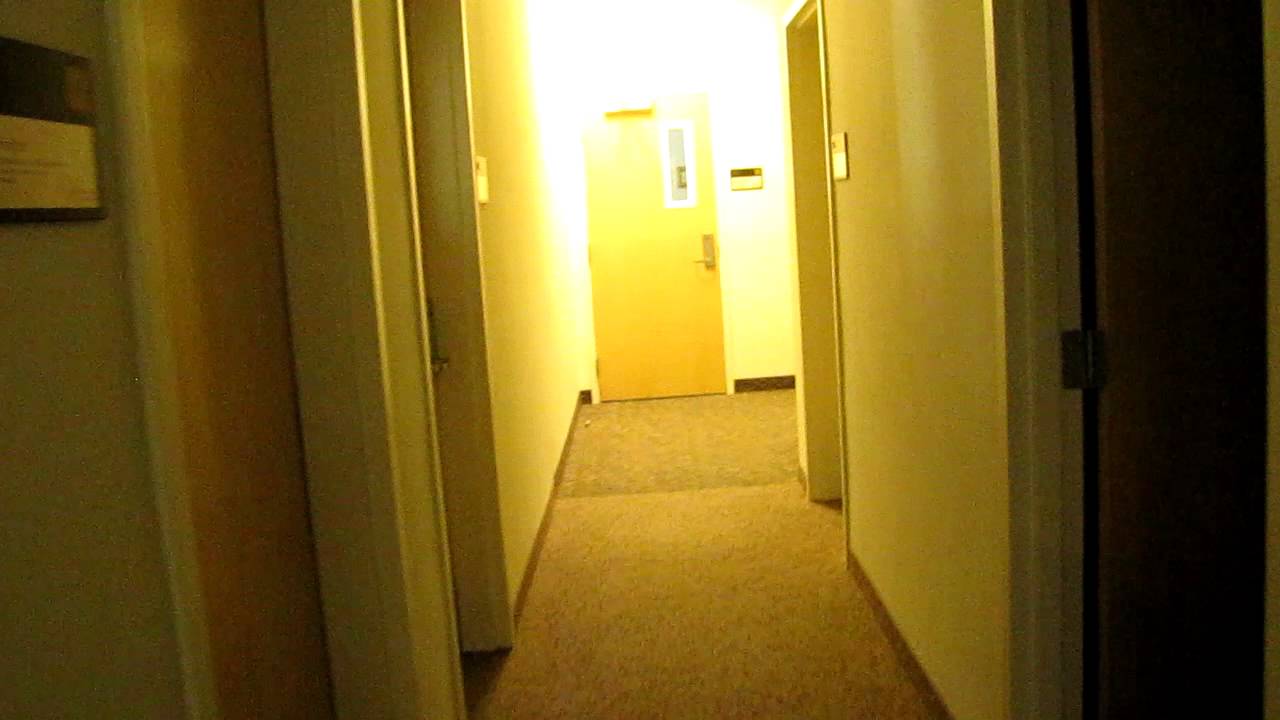 Chapman_Wilkinson YouTube