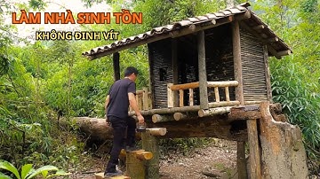 Làm ngôi nhà gỗ không cần đinh vít cực hay | Sống Còn TV
