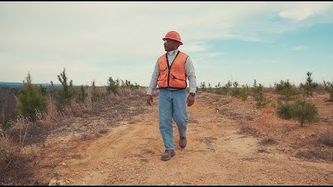 Weyerhaeuser: A Sustainable Cycle