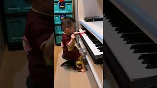 Little hands, big dreams - MiniMozart #babyplaypiano #minimozart #littlemusician