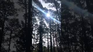 Total Eclipse Road Trip-I have a secret surprise for the boys just before the eclipse starts