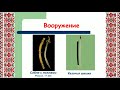 &quot;День российского казачества&quot; в рамках проекта &quot;Культура для Школьников&quot;