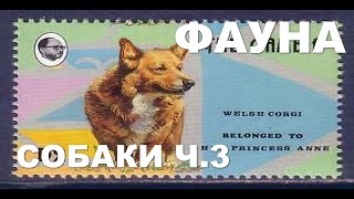 Коллекция марок с собаками ч. 3