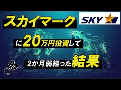スカイマークに20万投資して2か月経った結果