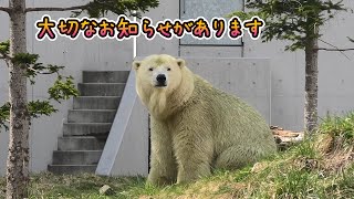 メンバー限定】活動をしばらくお休みします｜しろくまTV - YouTube