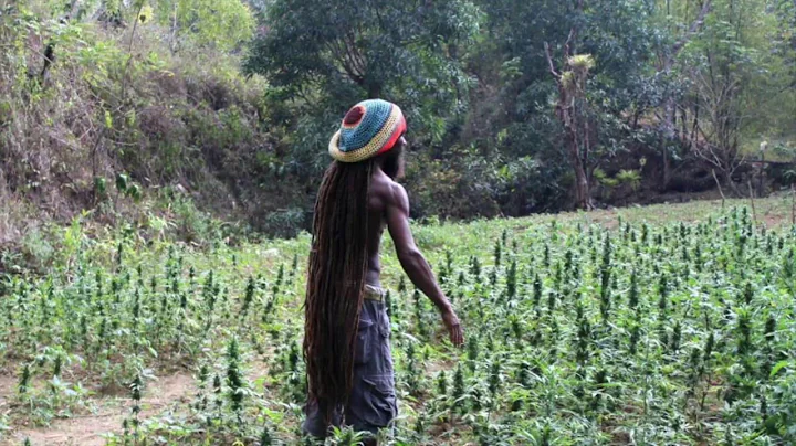 ScreenPlay- Big Ganja Farmer (Feat  Michal Black)(...