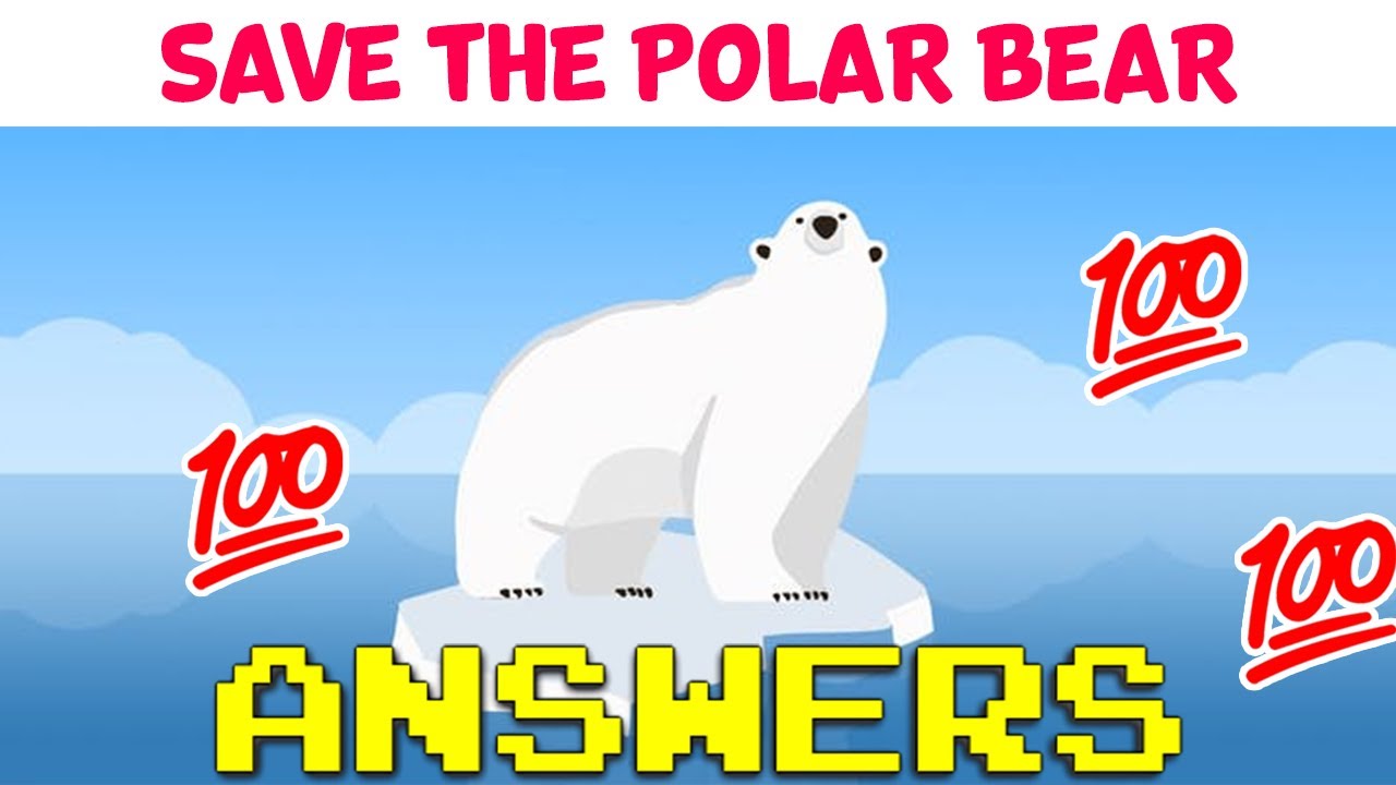 Save the Polar Bear Quiz Answer | Guarantee 100% Score | Video Quiz