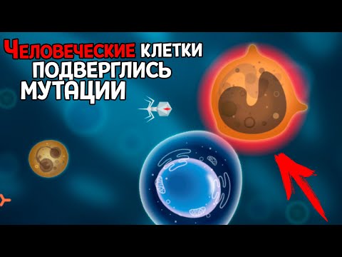 Видео: КОЛОНИЯ БАКТЕРИЙ ВЛИЯЕТ НА КЛЕТКИ ЧЕЛОВЕКА ( Infectious )