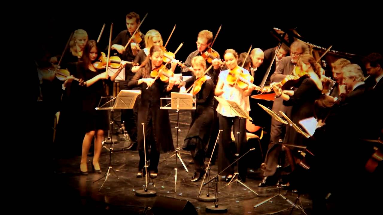 CARNAVAL ST SAENS (4 septembre 2010)