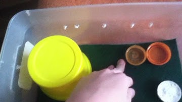 How to Setup a Leopard Gecko Hatchling Tub