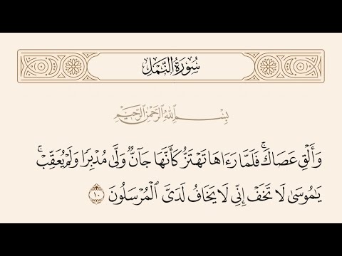فهم القرآن فلما رآها تهتز كأنها جان