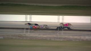 Albion-Park-07092015-Race-4