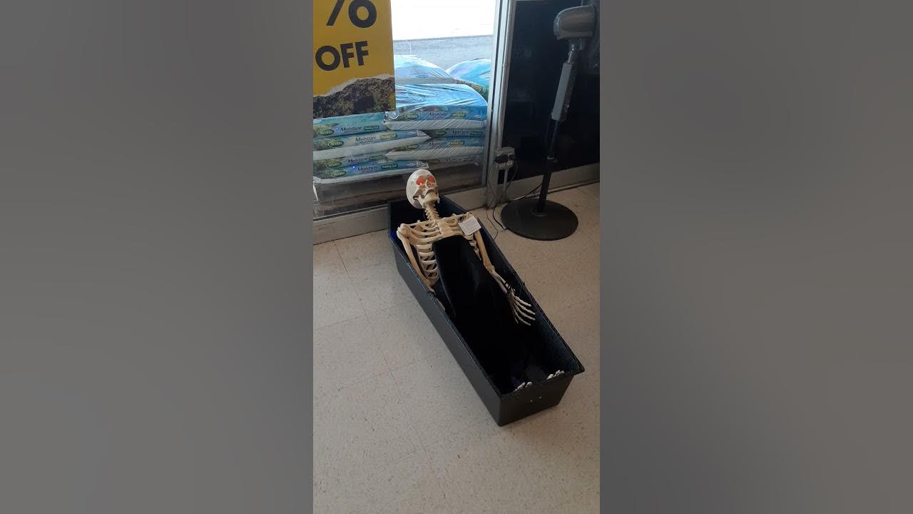 big lots halloween skeleton rising in coffin YouTube
