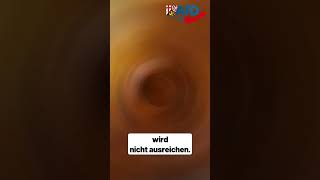 Michael Frisch (AfD-Fraktion RLP): Asylwende für Rheinland-Pfalz