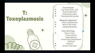 Micro-lecture: TORCH infections