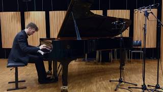 Liszt Transcendental etude no. 8 Wild Hunt, Ilya Ramlav