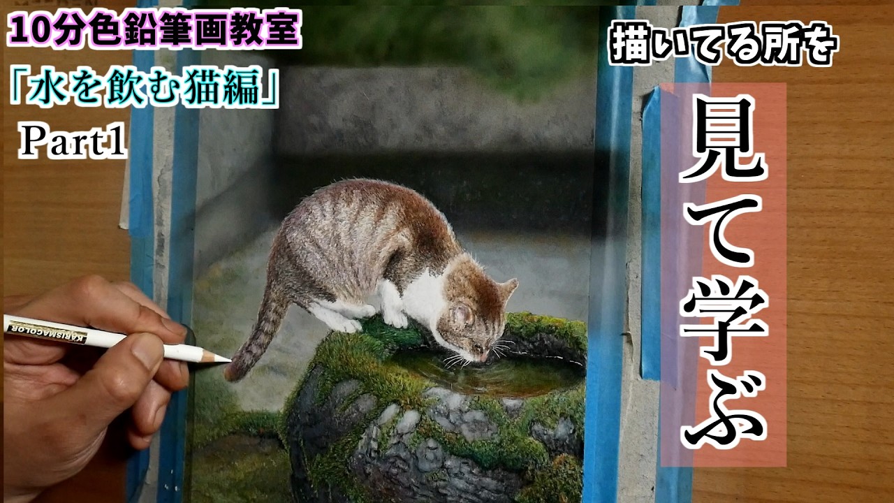 色鉛筆画A4 水辺の見守り猫 色鉛筆画A4 水辺の見守り猫 色鉛筆画A4 水辺の見守り猫 色鉛筆画A4